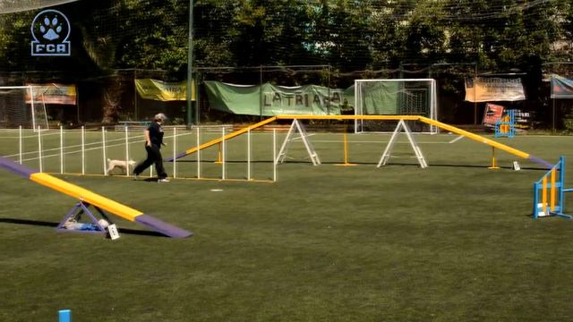 Agility G2 - Midi - Priscila Blanco / Andrea Perez & Tommy смотреть онлайн