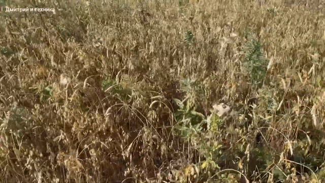 МЕЩЕРА Е403 ОСЕННИЙ МАРАФОН 2024 смотреть онлайн