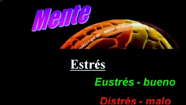 Bruce Lipton - La Funcion de la Mente 1080p смотреть онлайн