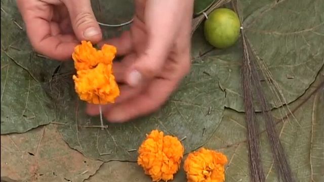 Marion Inde смотреть онлайн