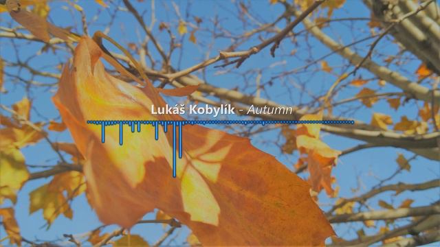 Lukas Kobylik - Autumn смотреть онлайн