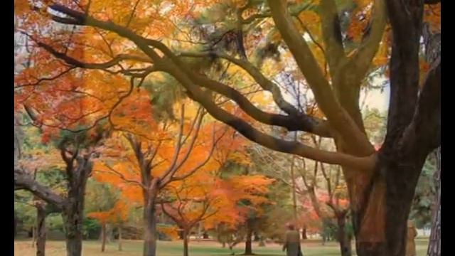 Alkinoos Ioannidis-o Proskinits