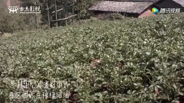 玛微 Ma Vey Ма Вэй смотреть онлайн