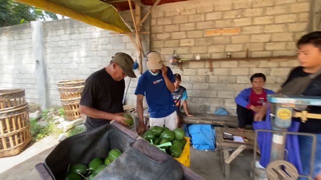 ALHAMDULILAH BARU SAMPAI PASAR LANGSUNG LAKU DAN ALPUKAT BAPAK CUMA LAKU SEGINI PER KG!!!