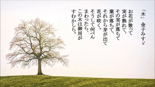 金子みすゞ「木」歌にしました聴いてください。初音ミク、自作曲、オリジナル曲、DTM смотреть онлайн