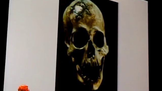 Mystery Of The Olmecs With David Hatcher Childress.