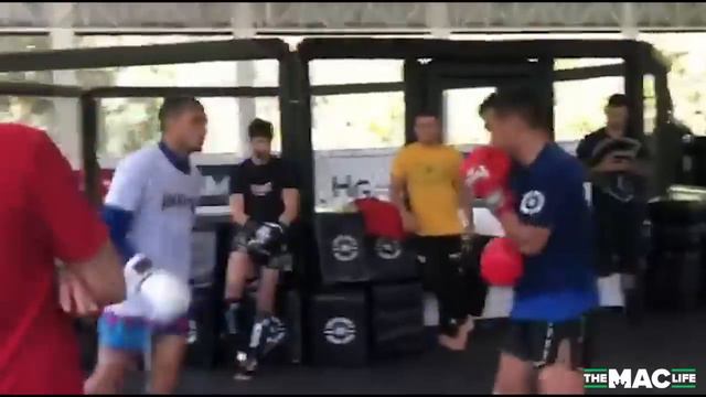 Charles Oliveira goes to war in Chute Box sparring videos смотреть онлайн