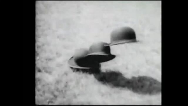 Sofia Navalha смотреть онлайн