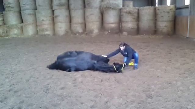 Friese zeigt ihr vollstes Vertrauen ... Zirzensik... Niederlegen смотреть онлайн