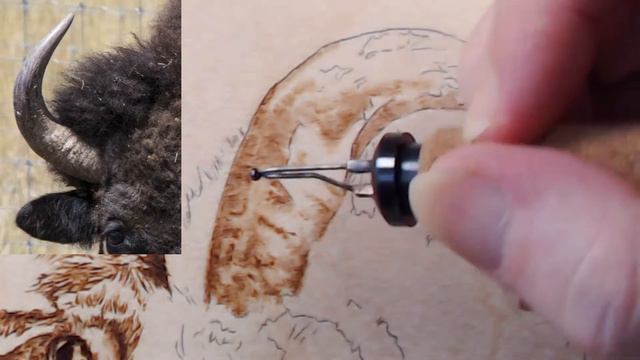 Pyrography: LIVE Wood Burning Bison Horns + Chartpak Winner Announced ☆ смотреть онлайн