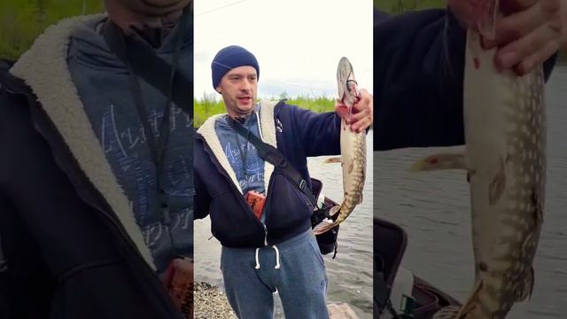 Воблер для щуки от Pontoon 21