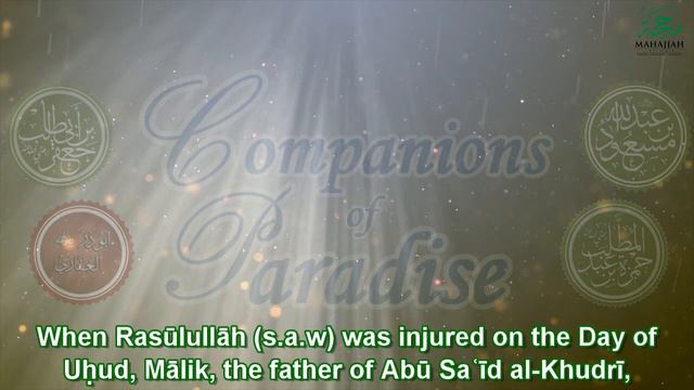 Companions of Paradise: Sayyiduna Malik ibn Sinan смотреть онлайн
