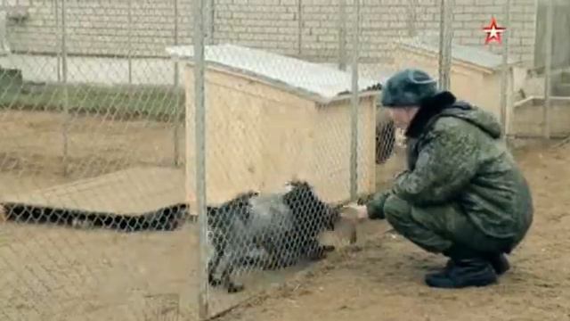 17 Никита Карацупа