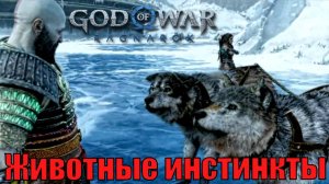 ЖИВОТНЫЕ ИНСТИНКТЫ ► God of war Ragnarok ► побочное задание. Прохождение