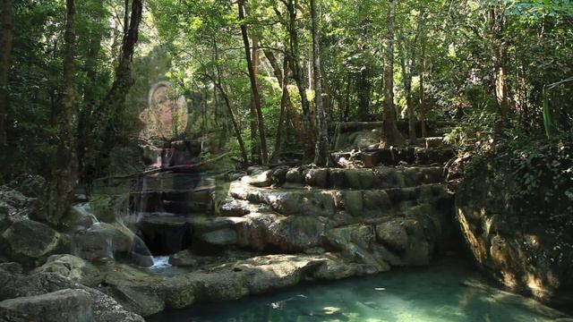 Noc byla delší než den - Jan Nedvěd - (Music video Bob Martinec) смотреть онлайн