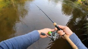 Ловля дикой форели и хариуса  на лесных реках Ленинградской области