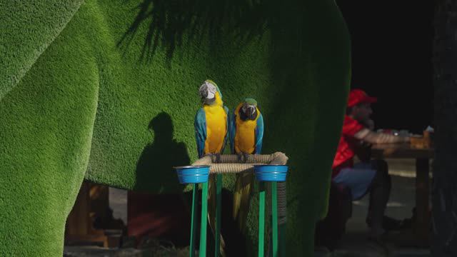 Витязево - Vityazevo смотреть онлайн