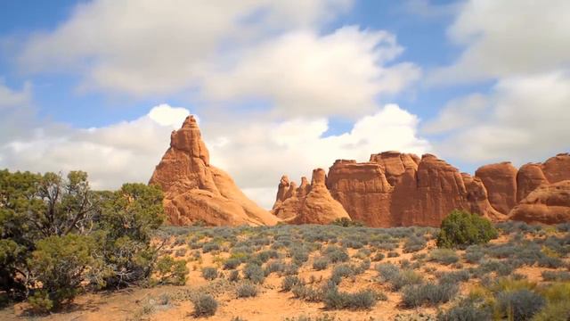 Maxaabbiistii Dagaalkii Ethiopia & Somalia (Qeybta Labaad) смотреть онлайн