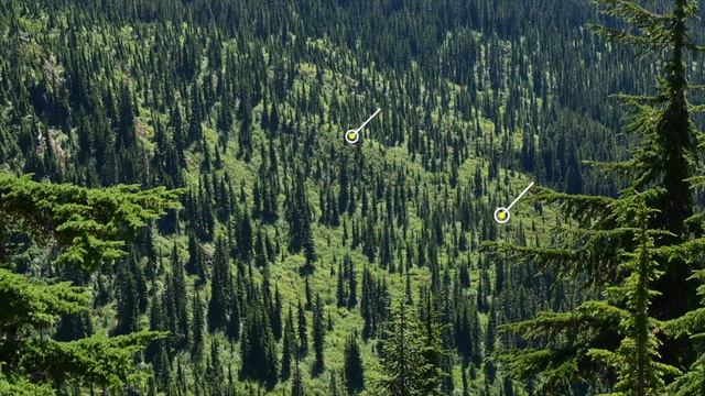 Black Bear Hunt in Washington State Pt. 1 | Soul Seekers S.1 Ep.4 смотреть онлайн