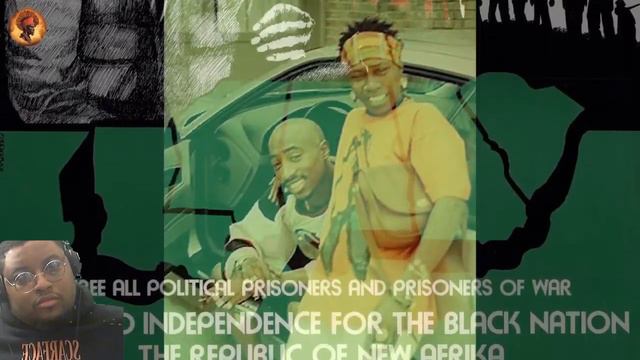 The LIFE Of Afeni Shakur