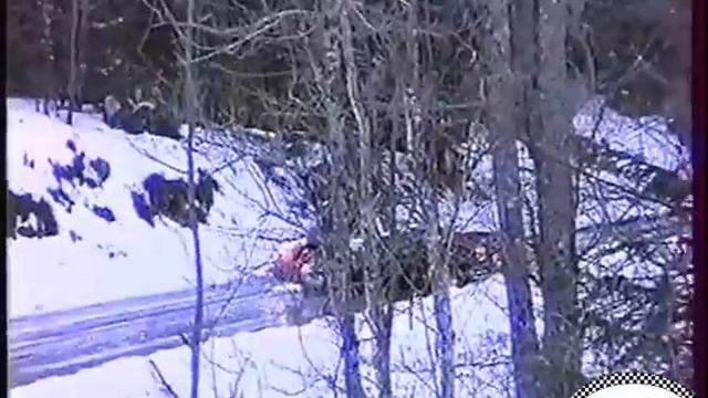 Highlights Rallye Monte Carlo Historique 2002 смотреть онлайн