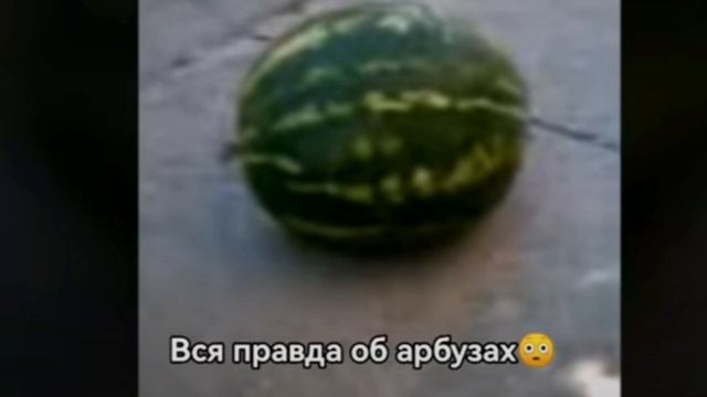 арбуз смотреть онлайн