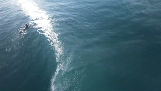 NIAS - Glassy Lagundri Bay is back in Action - RAWFILES - 13-14/APRIL/2023 смотреть онлайн