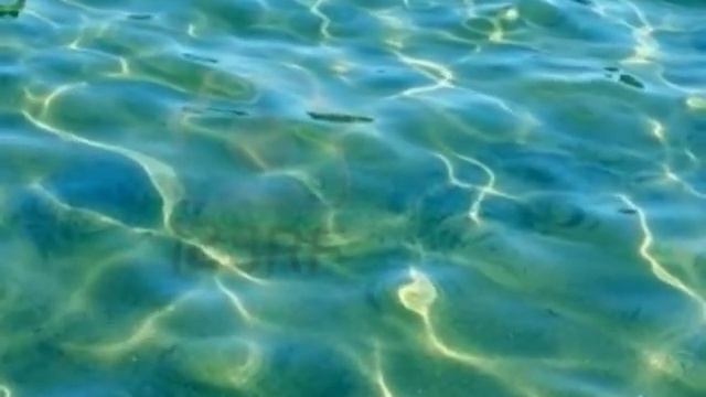 Gaby (1981) - Bam Cuttayen (Sega Mauricien)