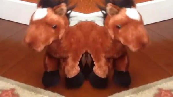 "Dream On (Glee Cast Version) [feat. Neil Patrick Harris]" Webkinz Music Video