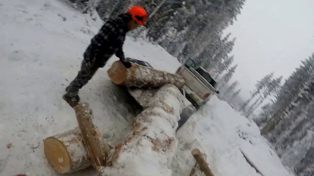 hauling logs for the chainsaw mill смотреть онлайн