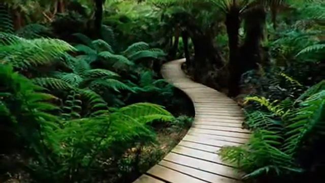 Desiderata Arturo Benavides