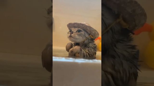 прикол смотреть онлайн