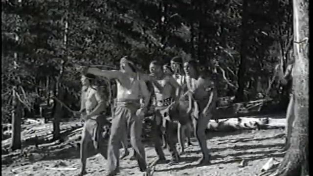 HAWK OF THE WILDERNESS