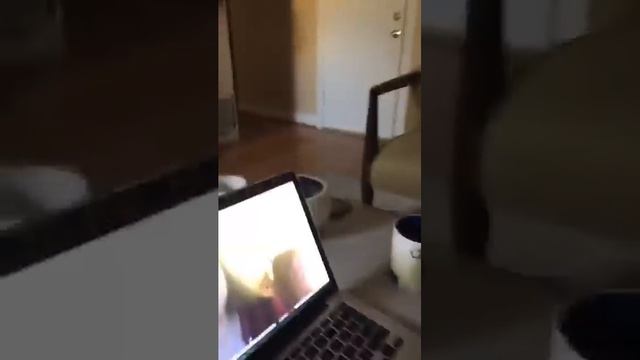 Tyler Young, James Paxton and Iliana Raykovski Eyewitness Live chat with Skype winner, 80sWitness! смотреть онлайн