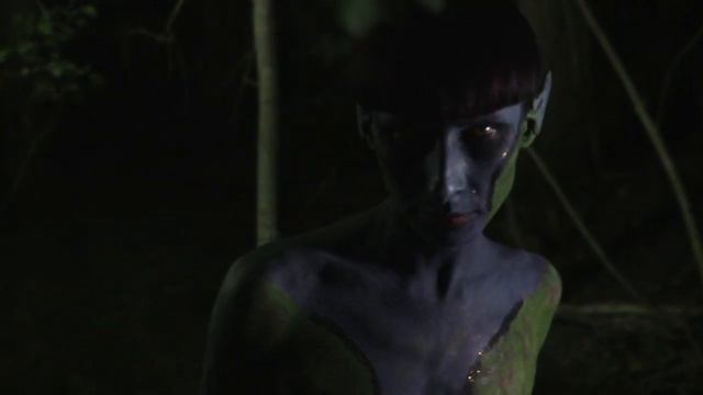 Life In the Forest by James Carman смотреть онлайн