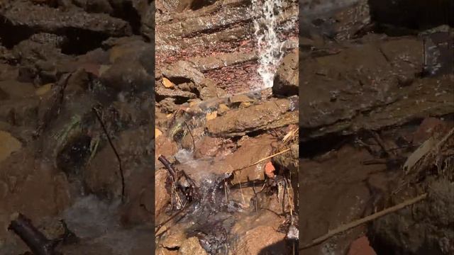 НАШЛИ ВОДОПАД РЯДОМ С ДАЧЕЙ #дача #travel #природа #водопад #nature #relax