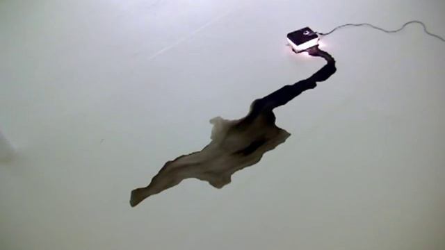 Kitty Kraus: Untitled смотреть онлайн