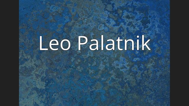 Leo Palatnik