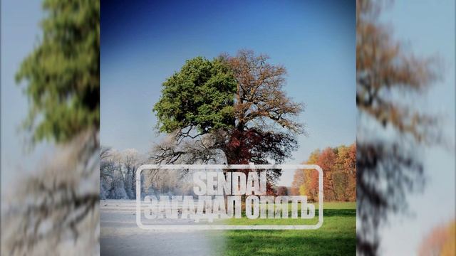 SENDAI - Загадал опять