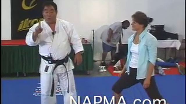 Fumio Demura Teaches for NAPMA 2 смотреть онлайн