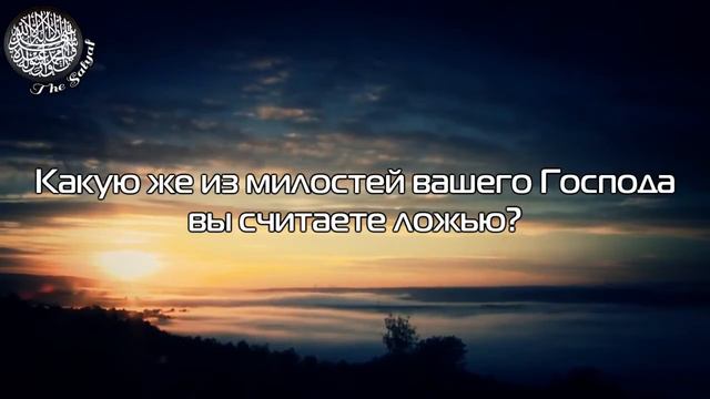 Салман Утайби сура ( Ар-Рахман ) смотреть онлайн