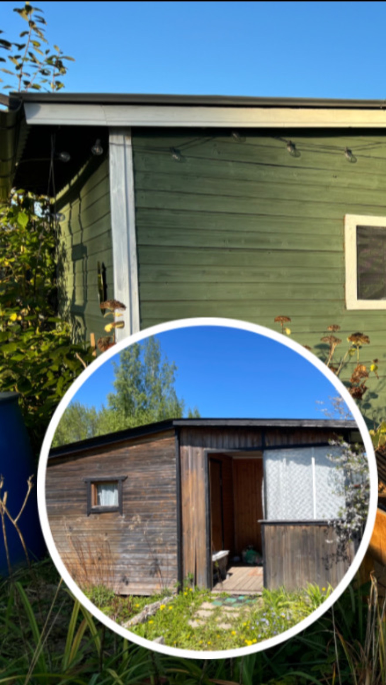 ИЗ СТРАШНОГО ДОМА В ДАЧУ МЕЧТЫ! смотреть онлайн