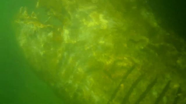 Amanda Gatz Scuba Diving Oregon смотреть онлайн