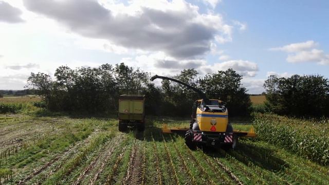 New Holland FR920 - Vesthimmerlands Maskinstation