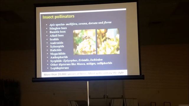 Tom Turpin:  Pollen's the Word Spread it Around - Part 1