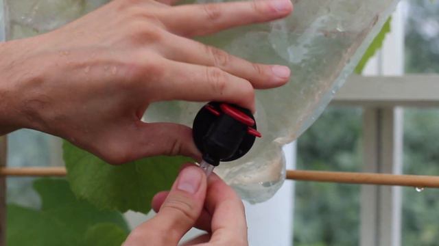 Bag-in-box bevattning - Trädgårdshacks med GardenR смотреть онлайн
