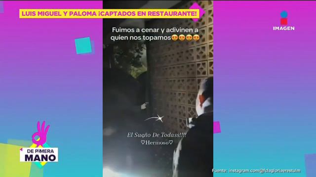Stephanie Salas HUYÓ al ser cuestionada sobre la presencia de Luis Miguel en boda de Michelle Salas смотреть онлайн