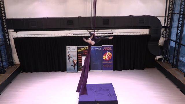 ПрУцков Марк - Catwalk Dance Fest VIIl [pole dance, aerial] 14.05.17. смотреть онлайн