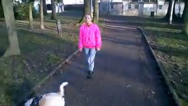 Leoš Mareš - Miluji