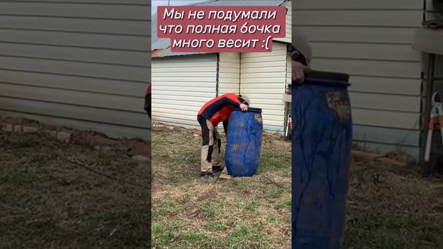 Шортс с бочкой #дача #огород #деревня #тяжело #сельскоехозяйство #приколы